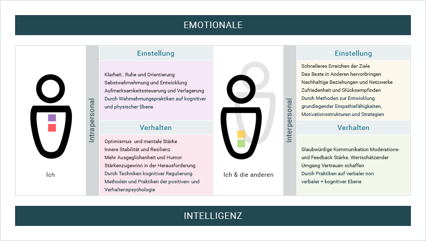Feldermatrix der Emotionalen Intelligenz